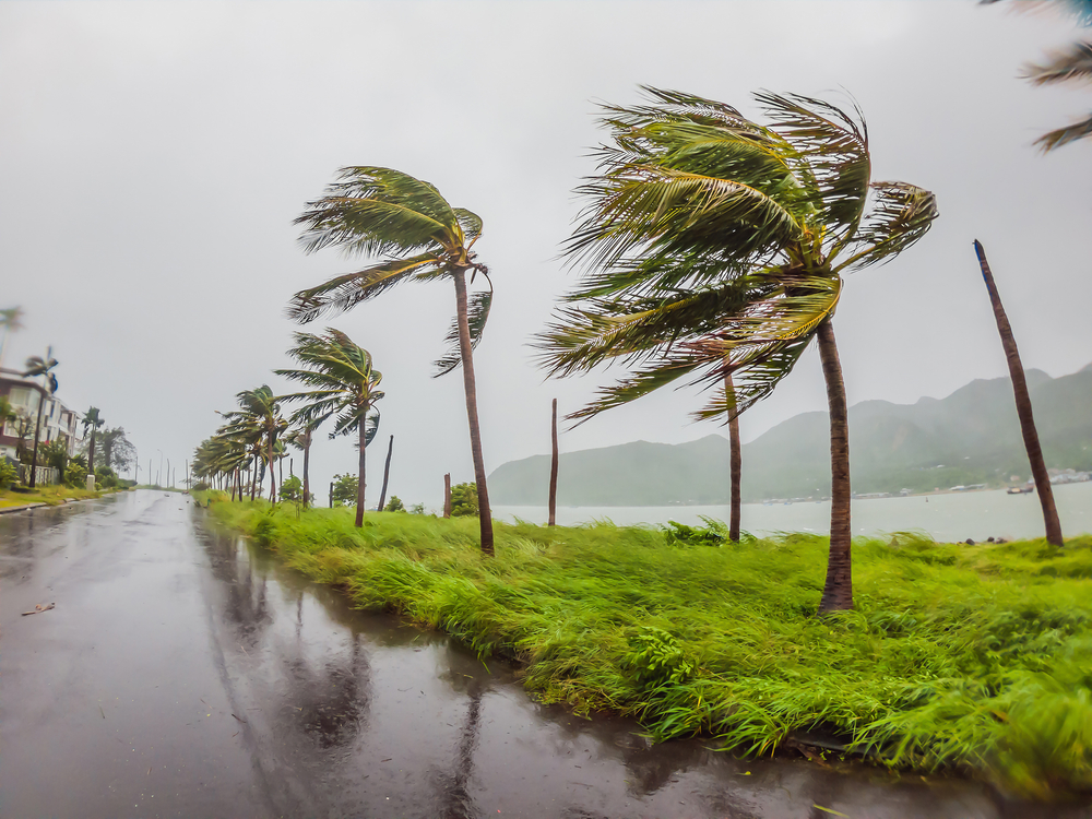 An image depicting cyclonic or stormic weather